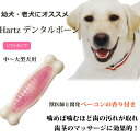 犬用おもちゃ Hartz デンタルボーン ソフトタイプ Lサイズ犬用おもちゃ 誕生日プレゼント【ペット用玩具 ギフト 犬用ギフト 犬おもちゃ 犬のおもちゃ 愛犬 デンタルケア 犬のオモチャ ドッグ】 2