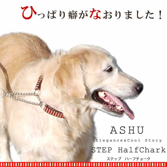 大型犬 ハーフチョーク ASHU ステップハーフチョークL 首輪 人気の赤 引っ張り防止のしつけに お揃いのリードあり