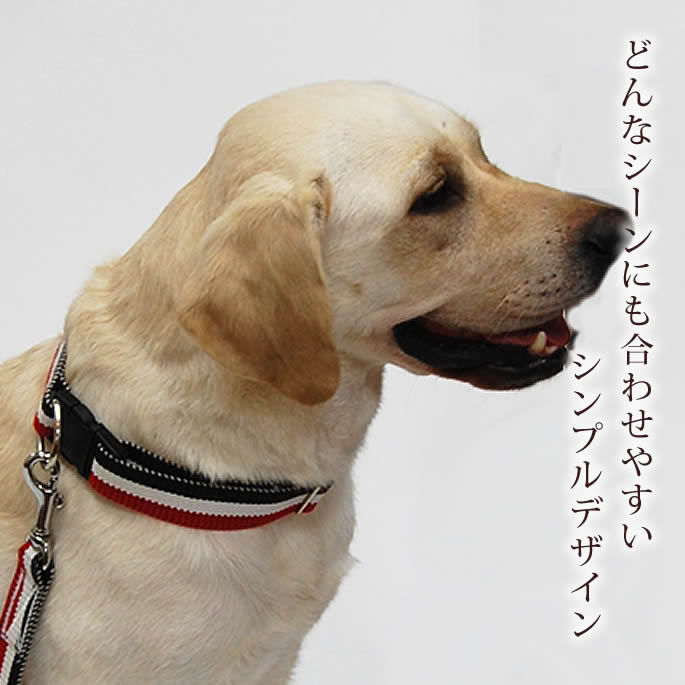 【割引クーポン配布中】犬 首輪 大型犬 ASHU トリコロールカラーL【リードは別売り】 シェパード ブルドッグ幅広3cm 犬用首輪 お散歩 可愛い 犬のグッズ ペット用品 犬の首輪 愛犬 犬用品 かわいい おしゃれ 楽天市場店 ペット用 ashu-10002164 帝塚山ハウンドカム 楽天市場店 サンプル画像3