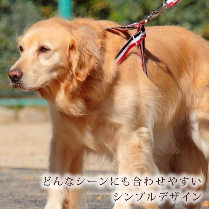 犬 ハーネス 大型犬 ASHU トリコロール L 【リードは別売り】 ペット用 胴輪 簡単ラブラドール ナイロン テープタイプ犬 ドッグ 犬用ハーネス【犬ハーネス ペット用品 おしゃれ 散歩用 愛犬】 おしゃれ　服の上から　老犬 ハーネス 高齢犬 シニア ashu-10002170 帝塚山ハウンドカム 楽天市場店 サンプル画像3