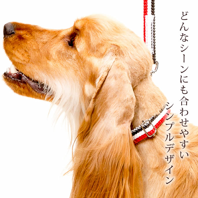【P2＆クーポン配布中】犬 首輪 中型犬 ASHU トリコロールカラーM 【リードは別売り】 幅1.5cm テープタイプ シュナウザー オリジナル ドッグブランド アッシュ 犬用首輪 お散歩 可愛い 犬のグッズ 柴犬 コーギー ペット用品 犬の首輪 豆柴 ペット用 ドッグ