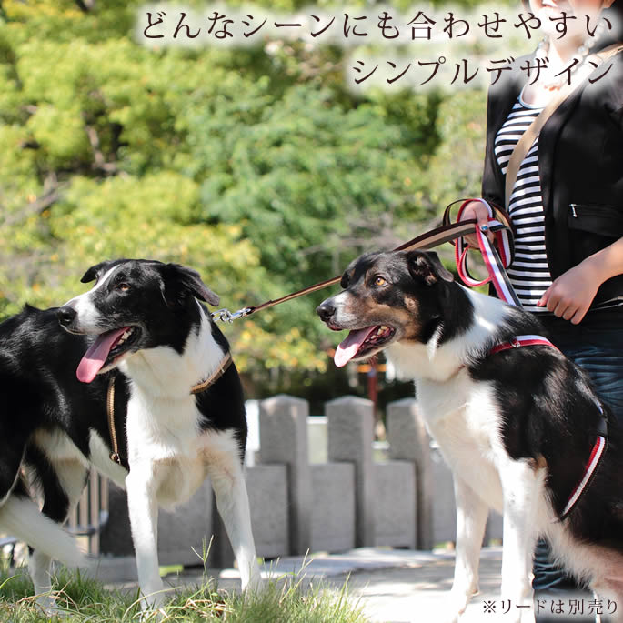犬 ハーネス ASHU トリコロール Mサイズ...の紹介画像3