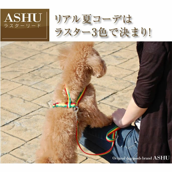 ASHU�饹�����꡼�ɡڥ꡼�ɡۡھ������������ۡ��淿����������