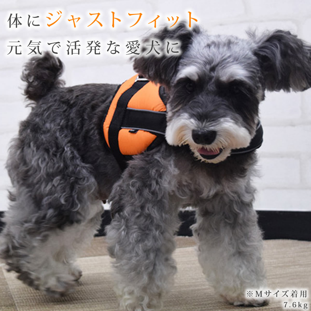 中型犬用ハーネス|首に優しいクッションハーネス...の紹介画像2