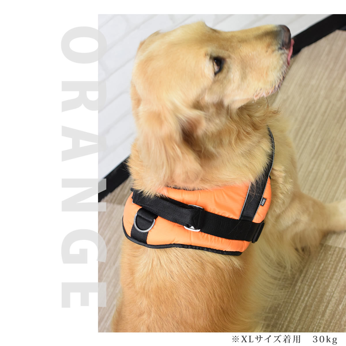 大型犬用ハーネス|首に優しいクッションハーネス...の紹介画像3