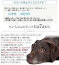 老犬用 ペットケアマットNEO　Mサイズ シニア犬 体圧分散 高反発 床ずれ ヘルニア 2