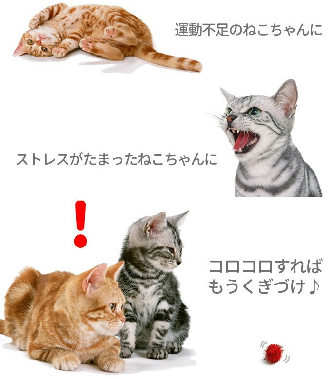 ǭ�Ѥ������ �ͤ�����餷 �ե��󥿥������ܡ��� S������(4����)�����ò��ۤͤ� �ܡ��� �ͥ� ���� �դ�դ� �ڤ���