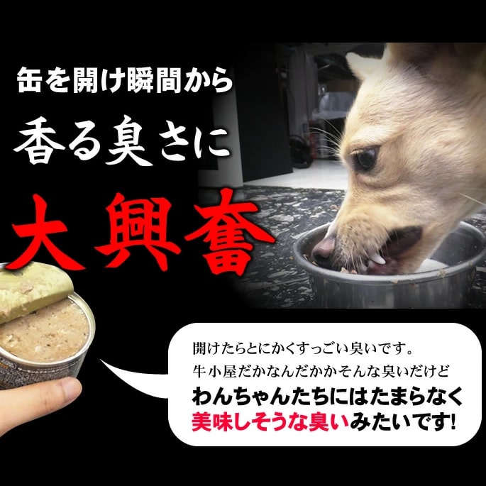 PURE サーモン＆グリーントライプ 95g 22+2缶セット　犬用総合栄養食　ニュートライプ　ドッグフード　ウェットフード