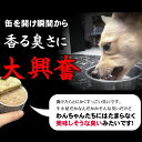 PURE ビーフ＆グリーントライプ 185g 24缶セット　ニュートライプ　犬用総合栄養食　ドッグフード　缶詰　ウェット　※2022年10月以降リニューアル 2