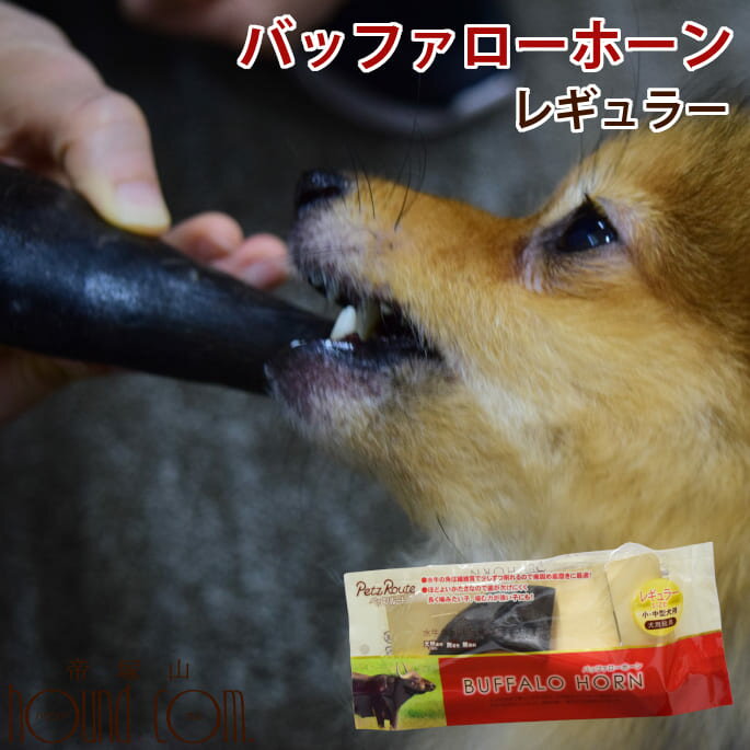 愛犬用 デンタルおもちゃ バッファローホーン レギュラー 犬 おもちゃ 噛むおもちゃ 水牛 角 デンタル デンタルおもちゃ 玩具 無塗装 無香料