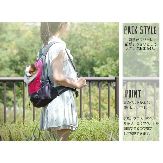 �ڥݥ����5�ܡۡڥ֥롼�Τߺ߸ˤ�������ò��ۥڥåȥ���꡼ ���å��Хå� S������ ���֥롼�Τߡ����å�������꡼ �ڥå� ����꡼ ����꡼�Хå� �� ����꡼�������ڸ����� �ɥå���