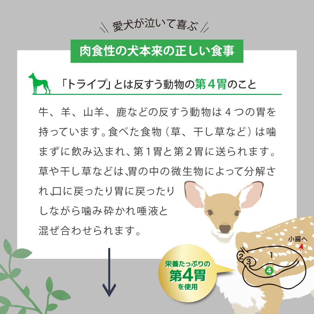 犬用　ニュートライプ　エッセンス　ラム＆サーモンwithグリーントライプ　1.8kg　2026年11月賞味期限　　全年齢対応　ドッグフード　ドライフード NUTRIPE 犬 ashu-10009879 帝塚山ハウンドカム 楽天市場店 サンプル画像3