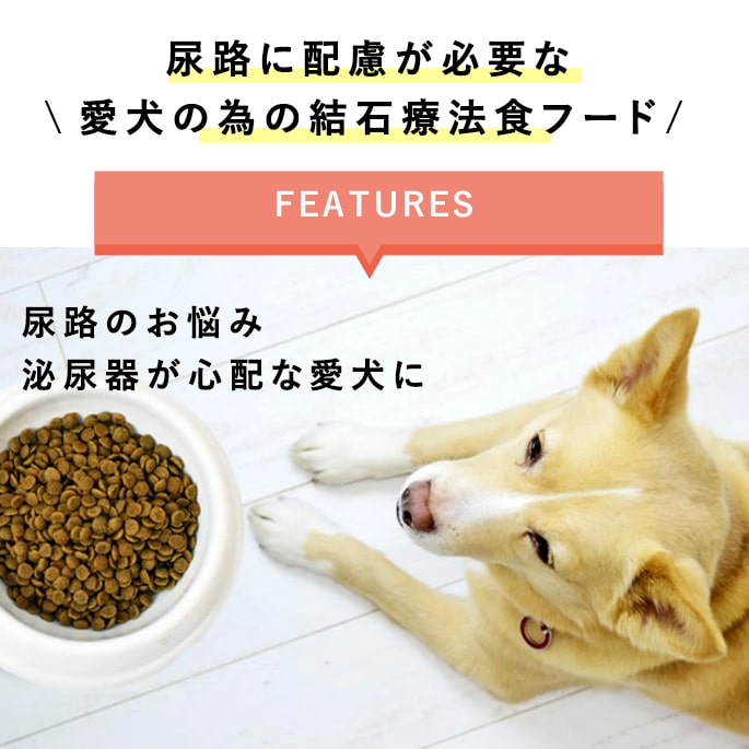 【割引クーポン配布中】愛犬用 ストルバイト結石...の紹介画像3