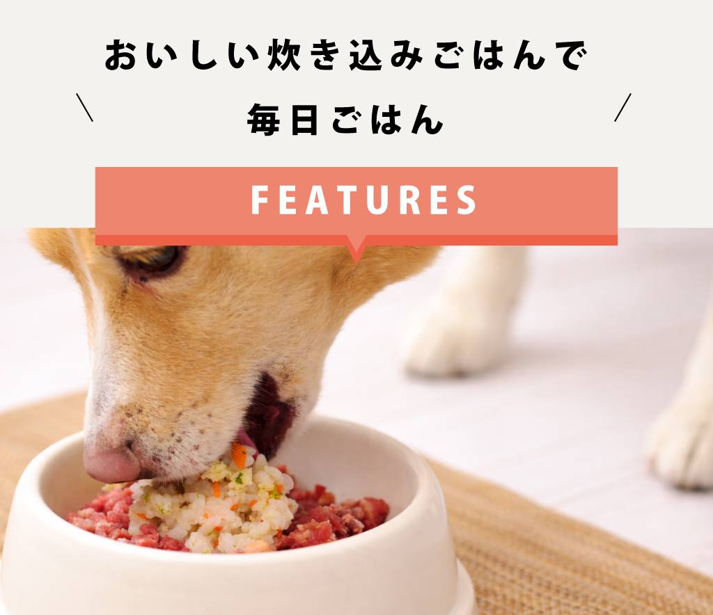 毎日ごはん 雑穀鶏炊き込み/雑穀鮭めし 1袋 冷凍便 ドッグフード 国産 無添加 手作りごはん 栄養補給 食物繊維 低脂肪 トッピング 簡単 便利 食いつき抜群 シニア犬 パピー 成犬 冷凍ドッグフード フレッシュドッグフード ashu-10009750 帝塚山ハウンドカム 楽天市場店 サンプル画像2