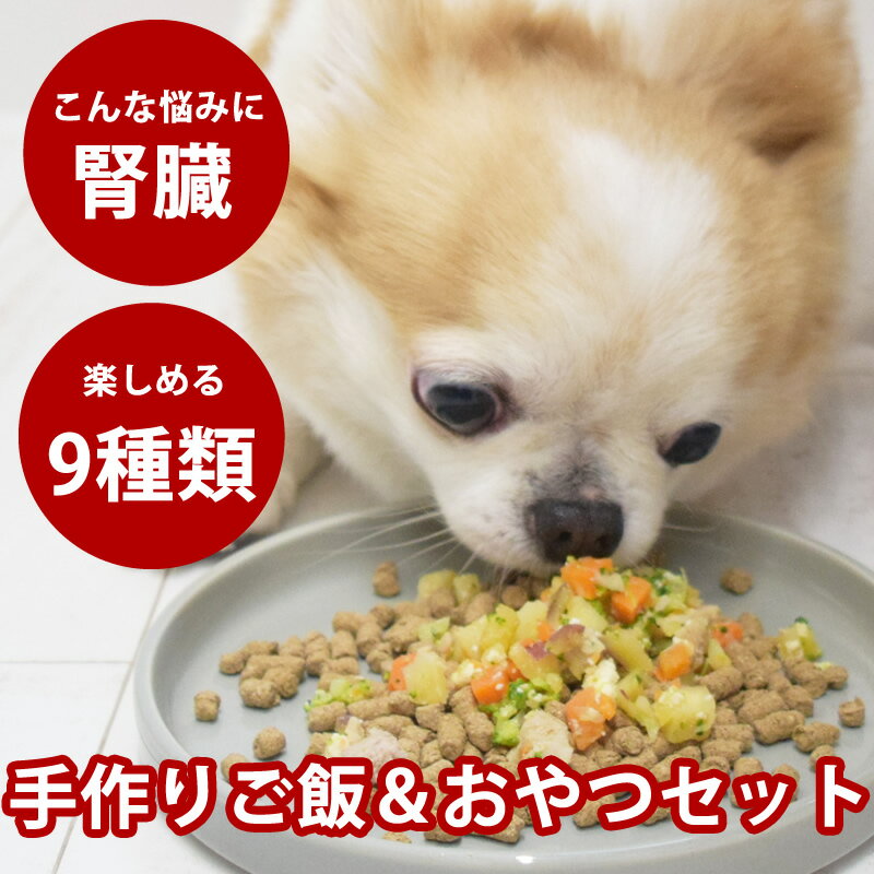 樂天商城 - 犬 腎臓に優しい7品目＆低リンおやつセット【ハウンドカム食堂】無添加 犬 おやつ 腎臓 サポート トッピング 老犬 シニア フード ウェットフード まとめ買い 食欲 食いつき 食べムラ ドッグフード ふりかけ 低ナトリウム