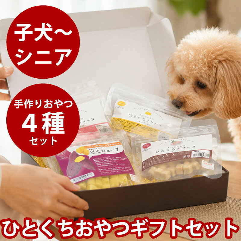 犬用 ソーシャルギフト｜ひとくちおやつ ギフトセット（4種）【冷凍便】無添加 ギフト プレゼント おやつ 詰め合わせ 高級 贈り物 お祝い 誕生日 バースデー 記念日 バレンタイン クリスマス 可愛い ラッピング 低リン 腎臓