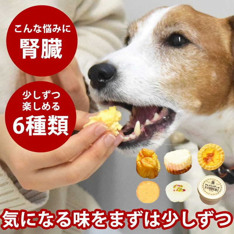 ちょっとずつ楽しめるスイーツセット【ハウンドカム食堂】【冷凍便】腎臓 低リン 犬 犬用 おやつ 詰め合わせ 試せる お試し 砂糖不使用 老犬 子犬 手作り ドッ...
