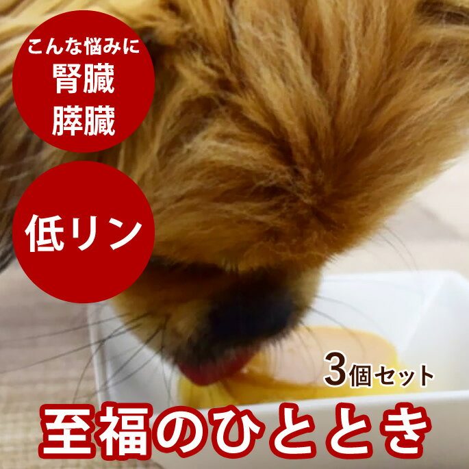 【割引クーポン配布中】食堂の手作りプリン 3個セット【冷凍】 犬用スイーツ デザート おやつ お菓子 食いつき 良い おすすめ 食いつき抜群 の いい 餌 トッ...