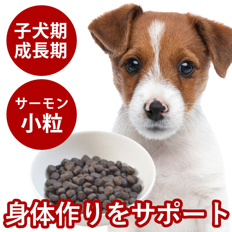 乐天商城 - トライプドライ ドッグフード パピー＆ウェイトアップ グリーントライプ＆ワイルドサーモン 小粒