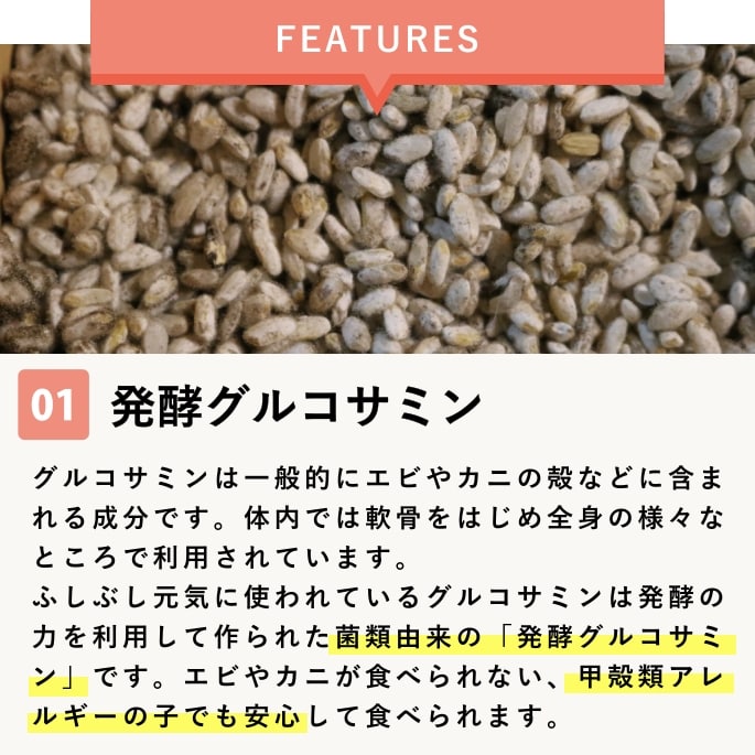 【割引クーポン配布中】犬 サプリ 関節サポート ふしぶし元気50g 猫 グルコサミン 50g ジョイントサポートサプリメント サプリメント 犬用サプリメント 栄養補助食品 猫用 愛猫 ワンコ ドッグ ashu-10004304 帝塚山ハウンドカム 楽天市場店 サンプル画像2