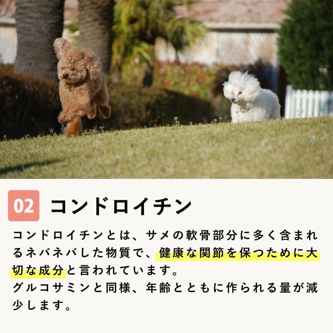 【割引クーポン配布中】犬 サプリ 関節サポート ふしぶし元気50g 猫 グルコサミン 50g ジョイントサポートサプリメント サプリメント 犬用サプリメント 栄養補助食品 猫用 愛猫 ワンコ ドッグ ashu-10004304 帝塚山ハウンドカム 楽天市場店 サンプル画像3