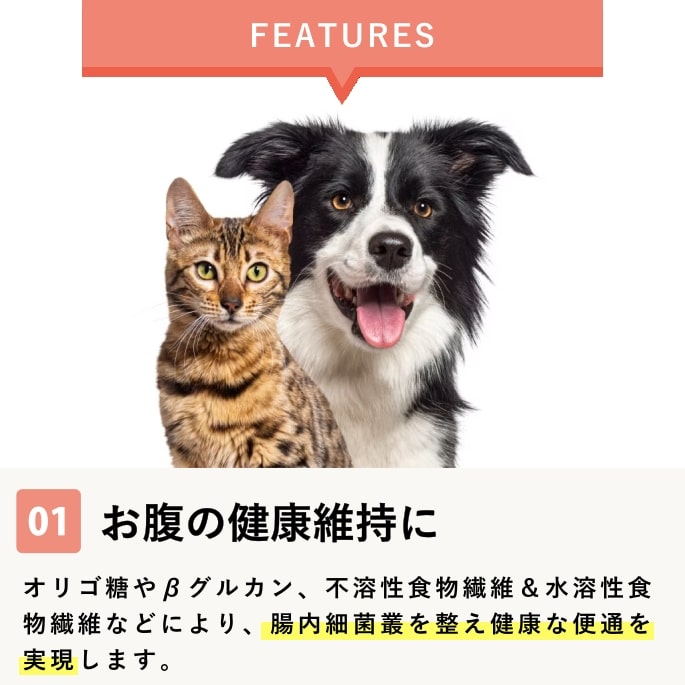 発酵野菜 の 酵素パワー元気 犬 1kg ドッグフード 手作り食　低リン 野菜 粉末 お...