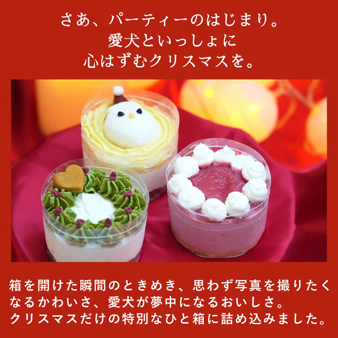 【割引クーポン配布中】【12月中旬より順次発送】2026年 クリスマスケーキ 3種のクリスマスパーティーケーキ【冷凍】犬 クリスマスケーキ プレゼント ご飯 犬用スイーツ おやつ Christmas 国内製造 さつまいも チーズ 砂糖不使用 生クリーム不使用 ashu-10010613 帝塚山ハウンドカム 楽天市場店 サンプル画像3