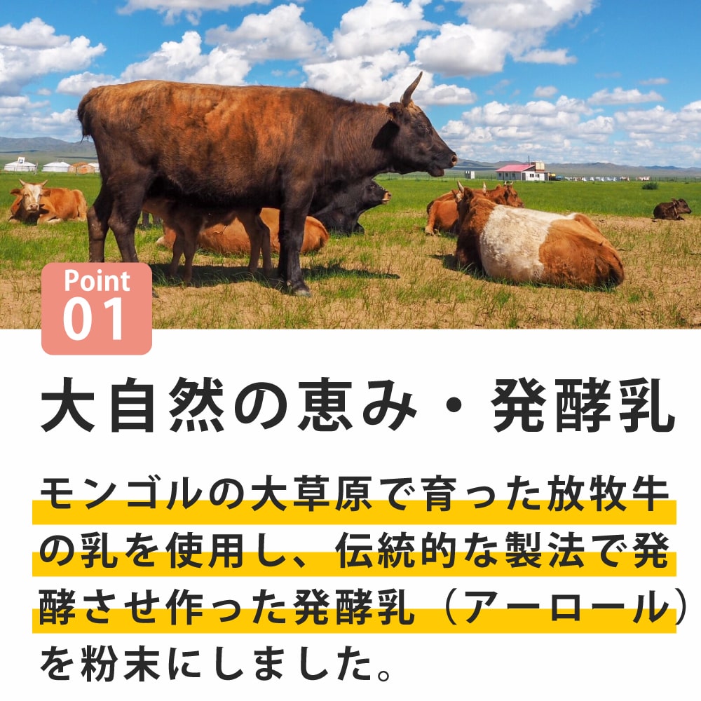 無添加犬おやつ・ふりかけ 草原のヨーグルト 40g 犬 無添加 ヨーグルトパウダー ふりかけ 粉末 乾燥 犬用 乳酸菌 発酵 乳 ミルク アーロール 仔犬 シニア 成犬 高齢犬 犬 の 放牧牛 自然 ashu-10010500 帝塚山ハウンドカム 楽天市場店 サンプル画像2