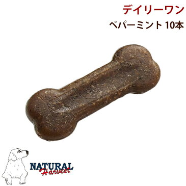 ナチュラルハーベスト｜デイリーワン ペパーミント 10本入り Natural Harvest デンタルケア 犬用おやつ 歯みがきガム