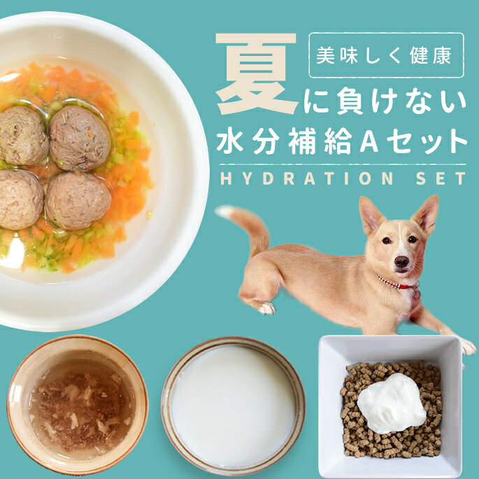 樂天商城 - 【夏季限定】水分補給セットA【冷凍便】犬 猫 夏 水分不足 栄養 トッピング 食いつき シニア 子犬 ごはんに 手作り食 手作りごはん 犬用手作り ドッグフード