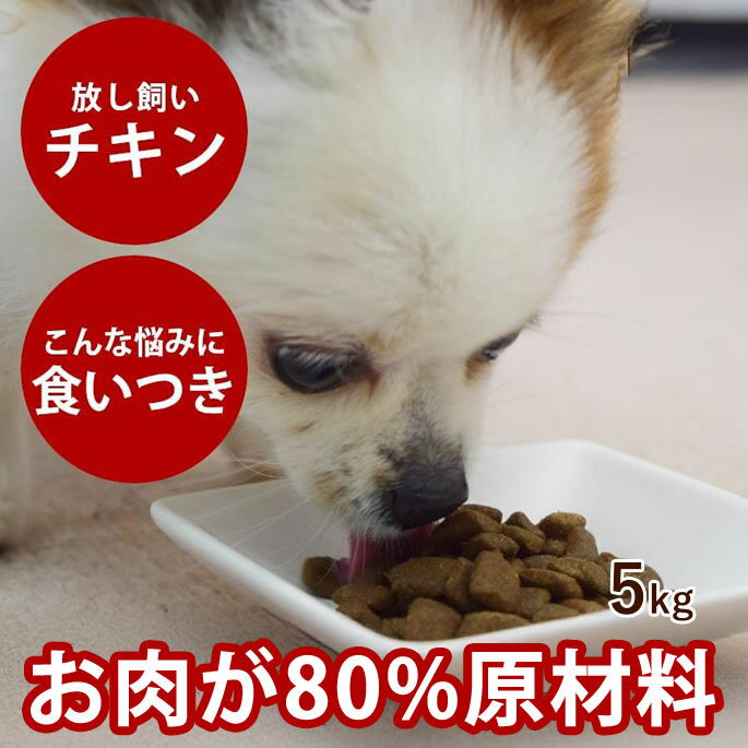樂天商城 - 【割引クーポン配布中】AATU（アートゥー） ドッグ　チキン 5kg穀物不使用 グレインフリー ドッグフード　ドライフード　犬用　ドッグフード 食いつき 良い おすすめ 食いつき抜群 の いい 餌 トッピング