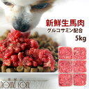 【全品ポイント2倍&割引クーポン】犬用 生 冷凍 グルコサミン入り 馬肉小分けトレー 5kg +500g 送料無料 ミンチ 粗挽き 新鮮 手作り食 トッピング