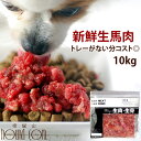 犬 馬肉 生馬肉 粗挽き 10kg 【冷凍】