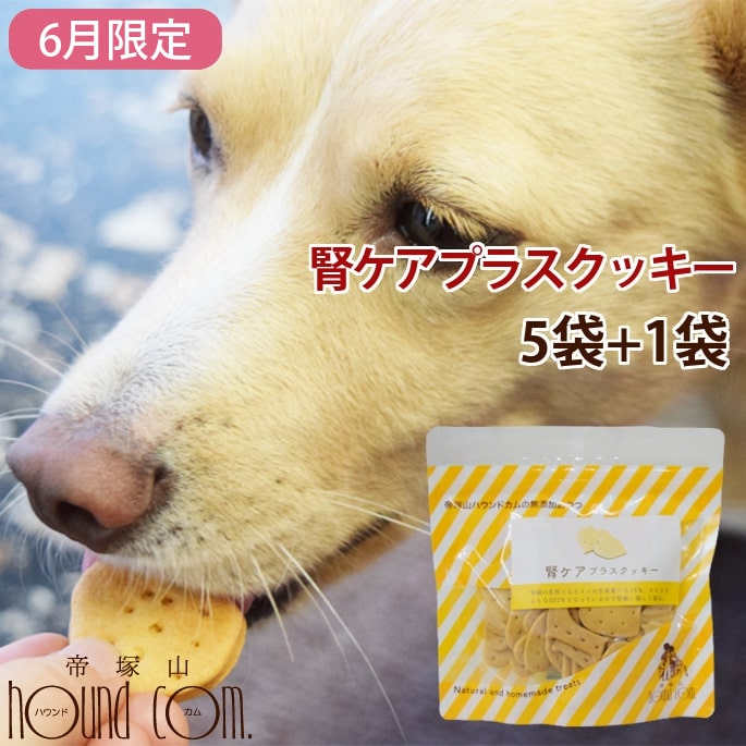 オリジナルクッキー 腎ケアプラス 5袋+1袋セット なた豆 クルクミン配合の国産おやつ トリーツ 犬用 お菓子