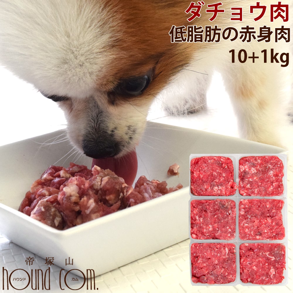 犬猫用 国産ダチョウ肉ミンチ 小分けトレー 10kg+1kg 【冷凍】だちょう肉 駝鳥生肉 ダチョウ生肉 犬用 猫用 生食 ネコ いぬ ペット用 手作りごはん 食材 低脂肪 低コレステロール オーストリッチ 老犬 仔犬 高齢犬 シニア