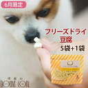 【6月限定】フリーズドライ豆腐犬 5袋セット＋1 犬 豆腐 