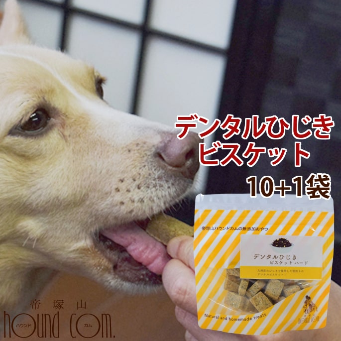 犬用おやつ｜デンタルひじきビスケット ハード 10袋セット＋1袋 60g ひじき 九州産 鉄分 米粉 デンタルおやつ 硬いビスケット ナチュラルビスケット 食いつき抜群 素朴な犬用ビスケット しっか…