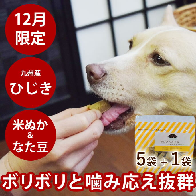 【12月限定】犬用おやつ｜デンタルひじきビスケット　ハード　60g 5袋+1袋セット ひじき　九州産　鉄分..