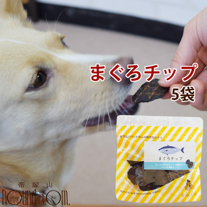 まぐろのギフト 犬 おやつ 無添加獲れたて まぐろチップ （ 5袋セット ） ペット おやつ 魚 鮪 マグロ フィッシュ 犬 猫 ジャーキー ギフト 愛犬 無添加 オヤツ ワンコ 国産 安心 安全 食いつき抜群 喜ぶ