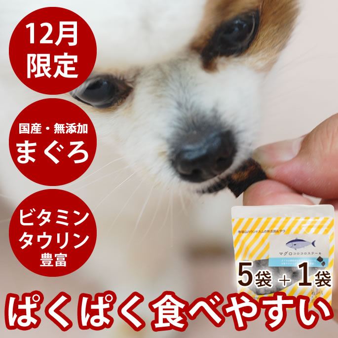 【割引クーポン配布中】【12月限定】まぐろコロコロステーキ 5袋+1袋セット ペット おやつ 魚 マ ...