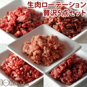 生肉ローテーション5点セット【冷