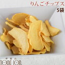 【割引クーポン配布中】犬 おやつ 旬の国産りんごを使った手作り りんごチップス( 25g 5袋セット )無添加 国産 低脂肪 小麦不使用 低タンパク 子犬 老犬...
