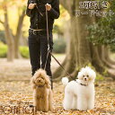 【割引クーポン配布中】犬 2頭引きリード ASHU ステップ 2頭引きリードセット 多頭飼い STEP 2匹用 小型犬 送料無料
