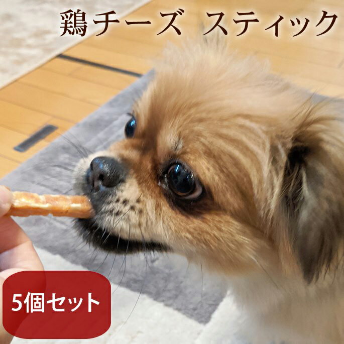 楽天帝塚山ハウンドカム　楽天市場店愛犬用おやつ　食べないはずない！？ 鶏チーズスティック　5個セット 簡単 おすすめ スイーツ おやつ トッピング 減塩チーズ使用　食いつき 良い