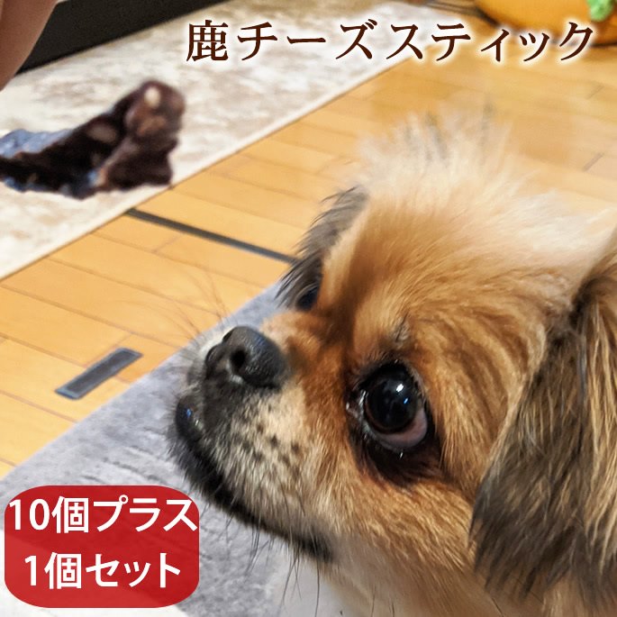 楽天帝塚山ハウンドカム　楽天市場店愛犬用おやつ　食べないはずない！？ 鹿チーズスティック　10個プラス1個セット 簡単 おすすめ スイーツ おやつ トッピング 減塩チーズ使用　食いつき 良い