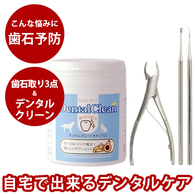 【割引クーポン配布中】歯石取り3点＆デンタルサプリセット 歯石取りペンチ スケーラー　ペット用　犬用　猫用　自宅で出来る 噛む ことで 歯垢 や 歯石 が 取れる