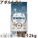 【割引クーポン配布中】【お取り寄せ】犬 FORZA10 |犬用 デイリープロ アダルトラム 12kg(中粒)Daily Pro フォルツァ10 フォルツァディエ...
