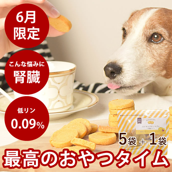 【割引クーポン配布中】【6月限定】犬 おやつ ロイヤルプティサブレ 腎臓ケア 70g 5袋+1袋セット【冷凍便】国産 無添加 犬用クッキー やわらかい さつまいも 米粉 グルテンフリー 低リン 腎臓に優しい しっとり ドッグフード ビスケット ボーロ 消化に優しい 投薬のサムネイル