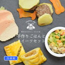 楽天帝塚山ハウンドカム　楽天市場店犬用手作りごはん こどもの日 手作りごはんとスイーツセット 【冷凍便】 ハウンドカム食堂 国産 無添加 ドッグフード 特別 ご褒美 トッピング 犬用スイーツ