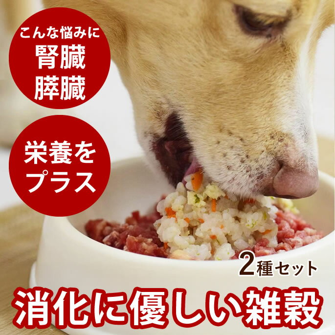 毎日ごはん 鶏と鮭の2種セット (雑穀鶏炊き込み・雑穀鮭めし) 各1袋 冷凍便 国産 ドッグフード 無添加 ..